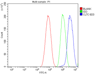 Clathrin heavy chain/CLTC Antibody (monoclonal, 6D3)