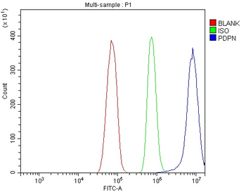 Podoplanin/gp36/Pdpn Antibody