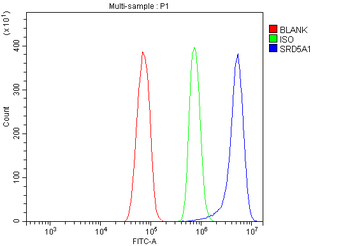 Anti-SRD5A1 Antibody