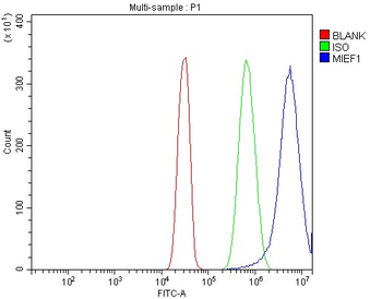 MIEF1 Antibody