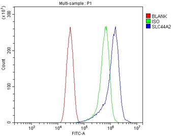 SLC44A2 Antibody