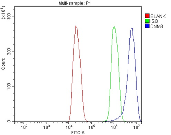Dynamin 3/DNM3 Antibody