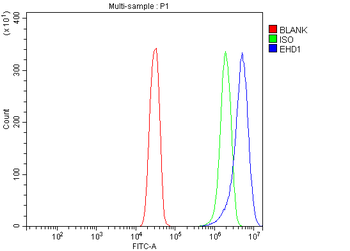EHD1 Rabbit Polyclonal Antibody
