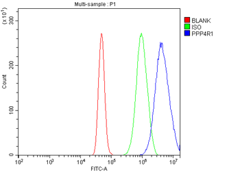 PPP4R1 Rabbit Polyclonal Antibody