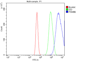 Proteasome 20S beta 6/PSMB6 Antibody