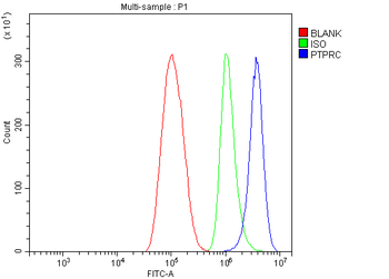 CD45/PTPRC Rabbit Polyclonal Antibody