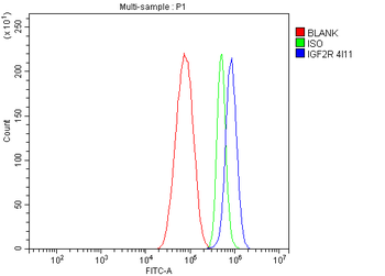 IGF2R Antibody (monoclonal, 4I11)