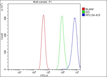 RPL13A Antibody (monoclonal, 4C9)