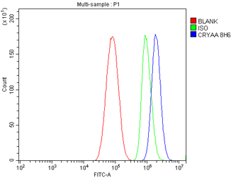 Alpha A Crystallin Antibody (monoclonal, 8H6)