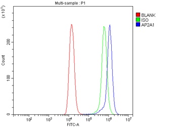 alpha Adaptin/AP2A1 Antibody