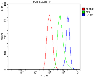 P2X7/P2RX7 Antibody