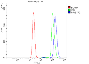 Anti-Cyclophilin E/PPIE Antibody (monoclonal, 7F2)
