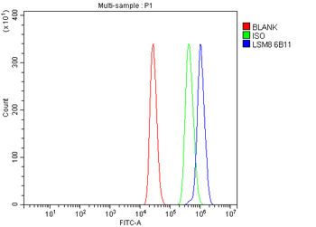 Anti-LSM8 Antibody (monoclonal, 6B11)