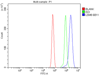 Anti-LSM8 Antibody (monoclonal, 6B11)