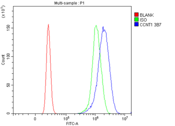 Cyclin T1 Mouse Monoclonal Antibody