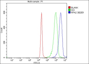 RPA32/RPA2 Antibody (monoclonal, 3B2E9)