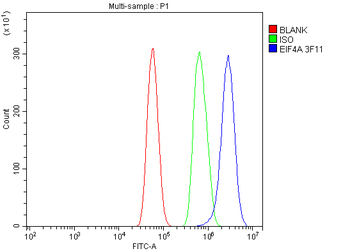 Anti-EIF4A1 Antibody (monoclonal, 3F11)