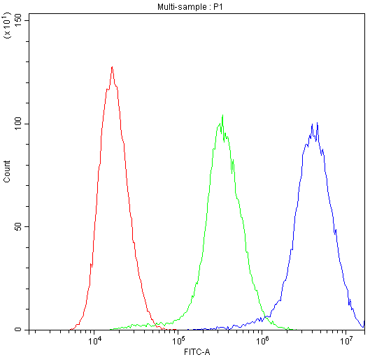 NM23A/NME1 Antibody