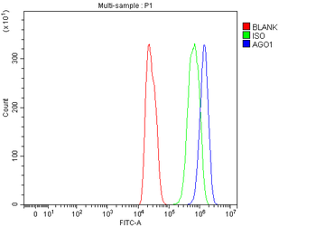 Anti-AGO1 Antibody