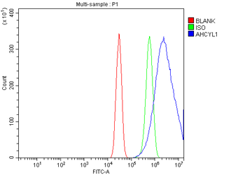 Anti-IRBIT/AHCYL1 Antibody