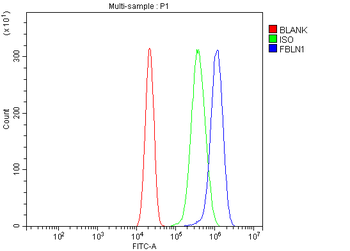 Fibulin 1/FBLN1 Antibody