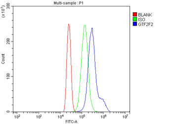 GTF2F2 Antibody