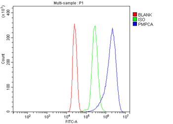 Anti-PMPCA/INPP5 Antibody