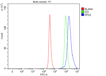 RPL5 Rabbit Polyclonal Antibody