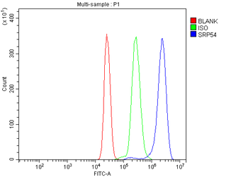 SRP54 Antibody
