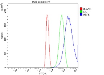 USP5 Antibody