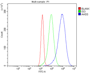 Anti-AASS Antibody