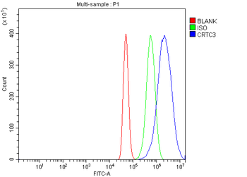 Anti-CRTC3 Antibody