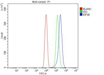 Anti-EIF3E Antibody