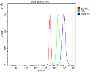 ERLEC1 Antibody