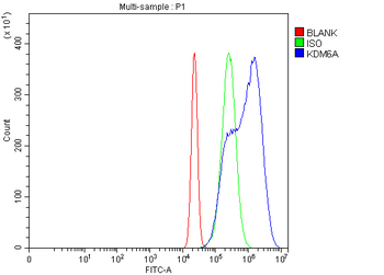 UTX/KDM6A Antibody