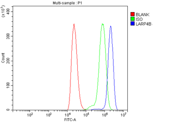 LARP4B Rabbit Polyclonal Antibody