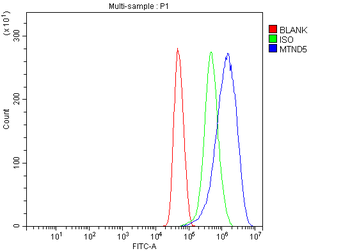 Anti-MT-ND5 Antibody