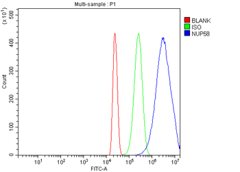 NUP58 Rabbit Polyclonal Antibody