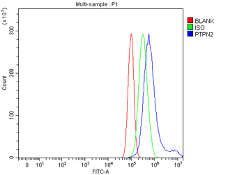 TCPTP/PTPN2 Antibody
