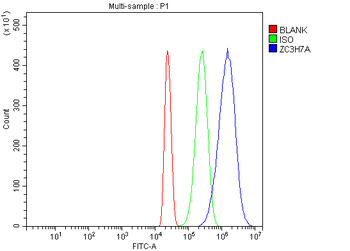 ZC3H7A Antibody