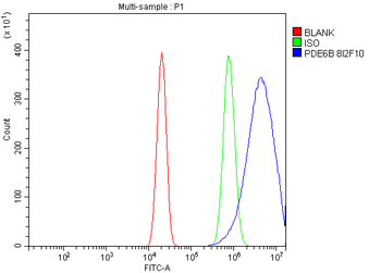 PDE6 beta/PDE6B Antibody (monoclonal, 8I2F10)