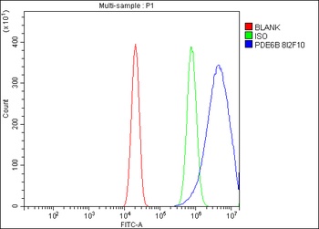 PDE6 beta/PDE6B Antibody (monoclonal, 8I2F10)
