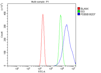 PDE6 beta/PDE6B Antibody (monoclonal, 8I2D7)