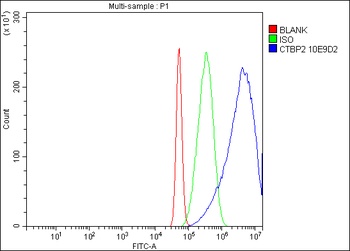 CTBP2 Antibody (monoclonal, 10E9D2)