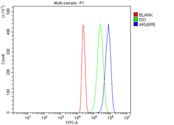 Anti-ARL6IP6 Antibody