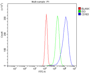 CD163 Rabbit Polyclonal Antibody