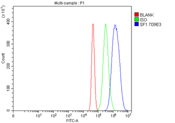 Anti-splicing factor 1 Antibody (monoclonal, 7D9E3)