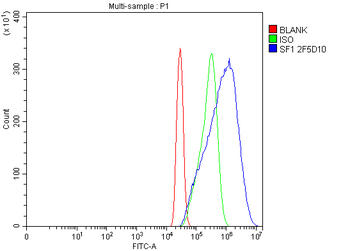 Anti-splicing factor 1 Antibody (monoclonal, 2F5D10)