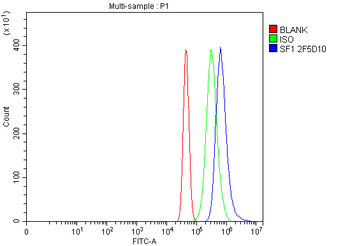Anti-splicing factor 1 Antibody (monoclonal, 2F5D10)