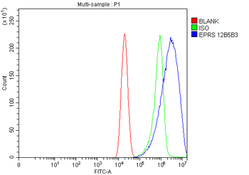 EPRS1/PARS Antibody (monoclonal, 12B5B3)